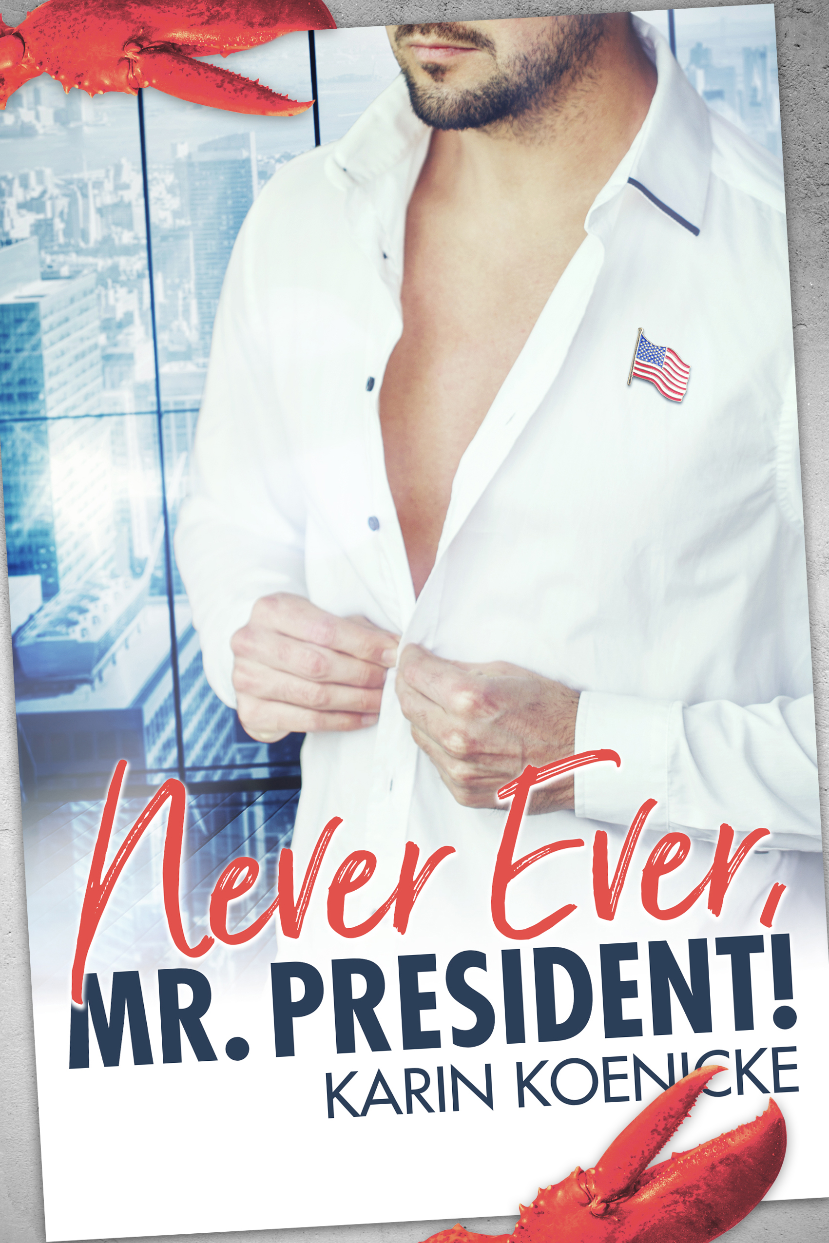 Liebesromane - Never Ever Mr President